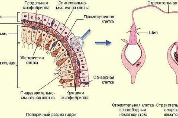 Kra35.gl