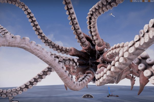 Kraken platform